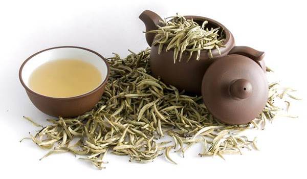 Trà trắng là sự lựa chọn phù hợp cho tất cả những người yêu thích sự nhẹ nhàng