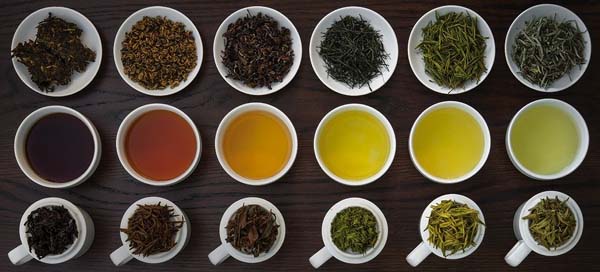 Cách chọn trà phù hợp với thể chất và lối sống