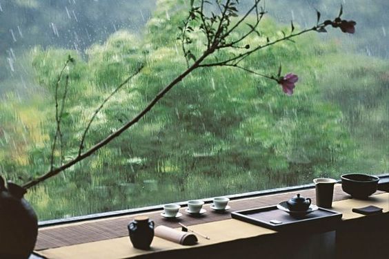 Trà Và Thời Tiết – Nghệ Thuật Chọn Trà Phù Hợp Từng Mùa