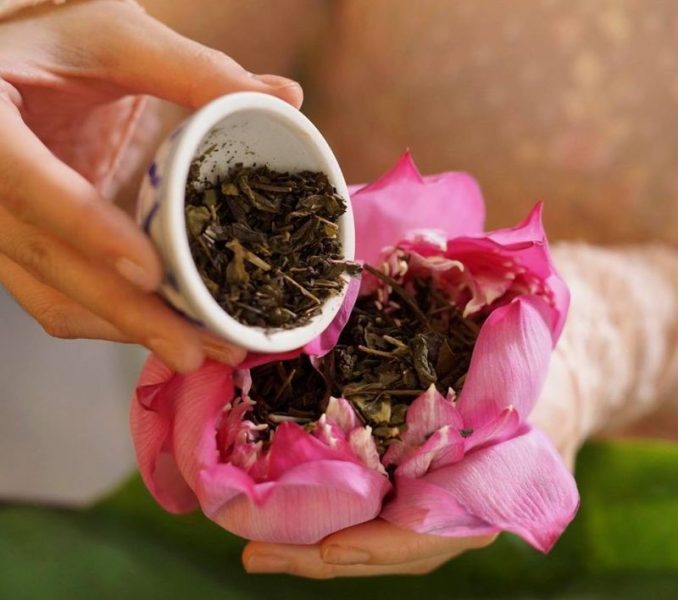 Kỹ Thuật Ướp Trà Sen Tây Hồ
