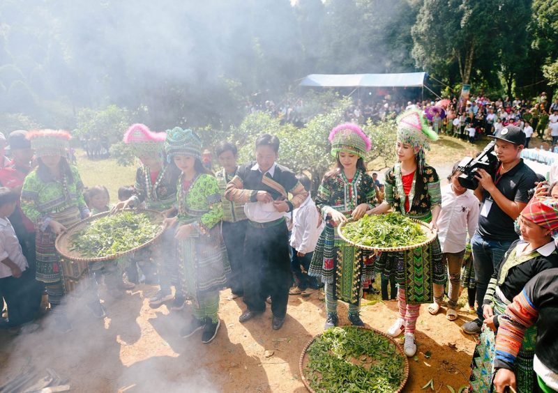Trà Shan Tuyết, tinh hoa Việt giữa trời mây