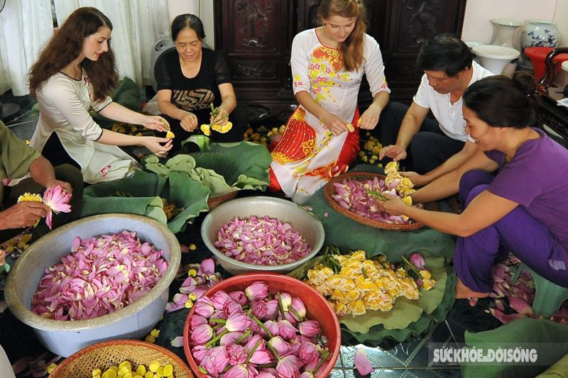 Quy trình nghệ thuật truyền thống ướp trà sen Tây Hồ