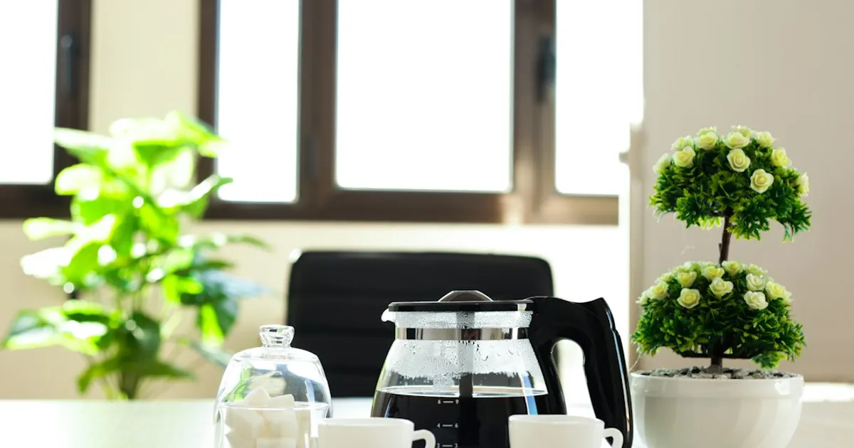 chén sứ ngọc thấu quang Bát Tràng - Hình ảnh minh họa
